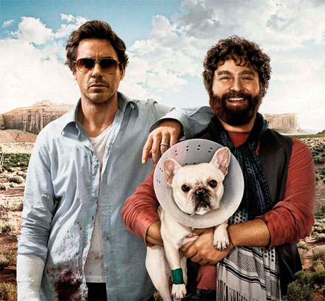 DUE DATE / TERMIN