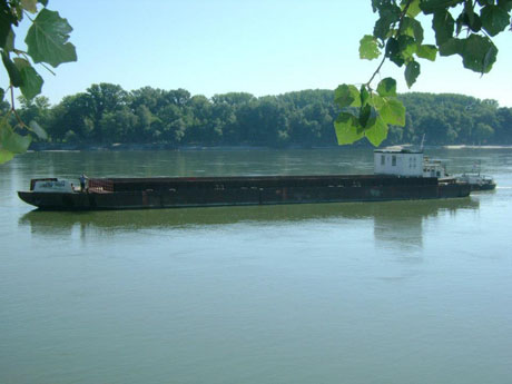 Kako je pripreman šlep za Vukovar Film Festival...